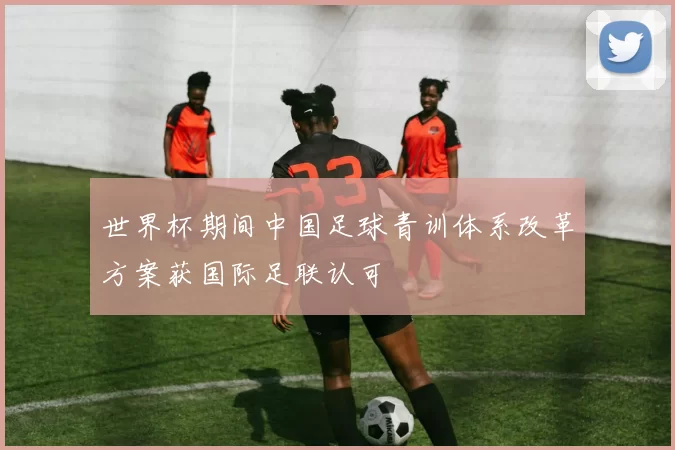 世界杯期间中国足球青训体系改革方案获国际足联认可
