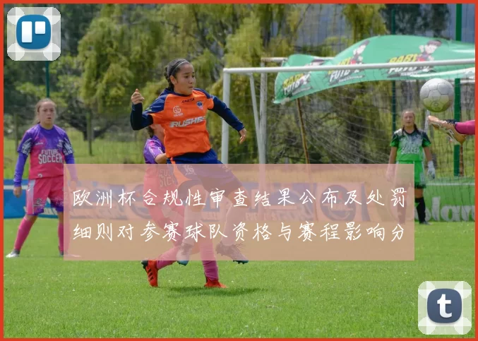 欧洲杯合规性审查结果公布及处罚细则对参赛球队资格与赛程影响分析