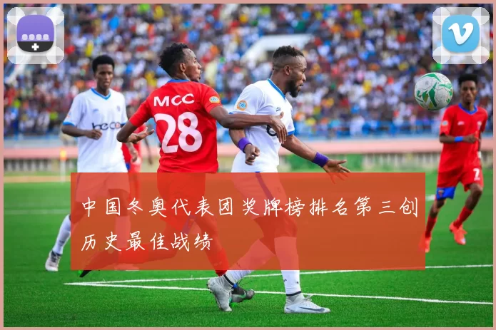 中国冬奥代表团奖牌榜排名第三创历史最佳战绩